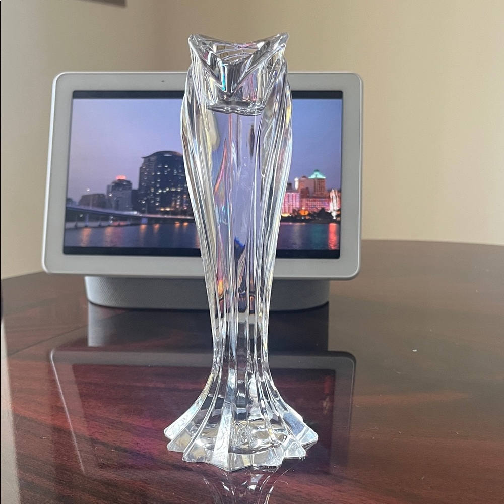 Elegant Clear Glass Vase